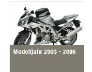Modelljahr 2003-06  SV1000